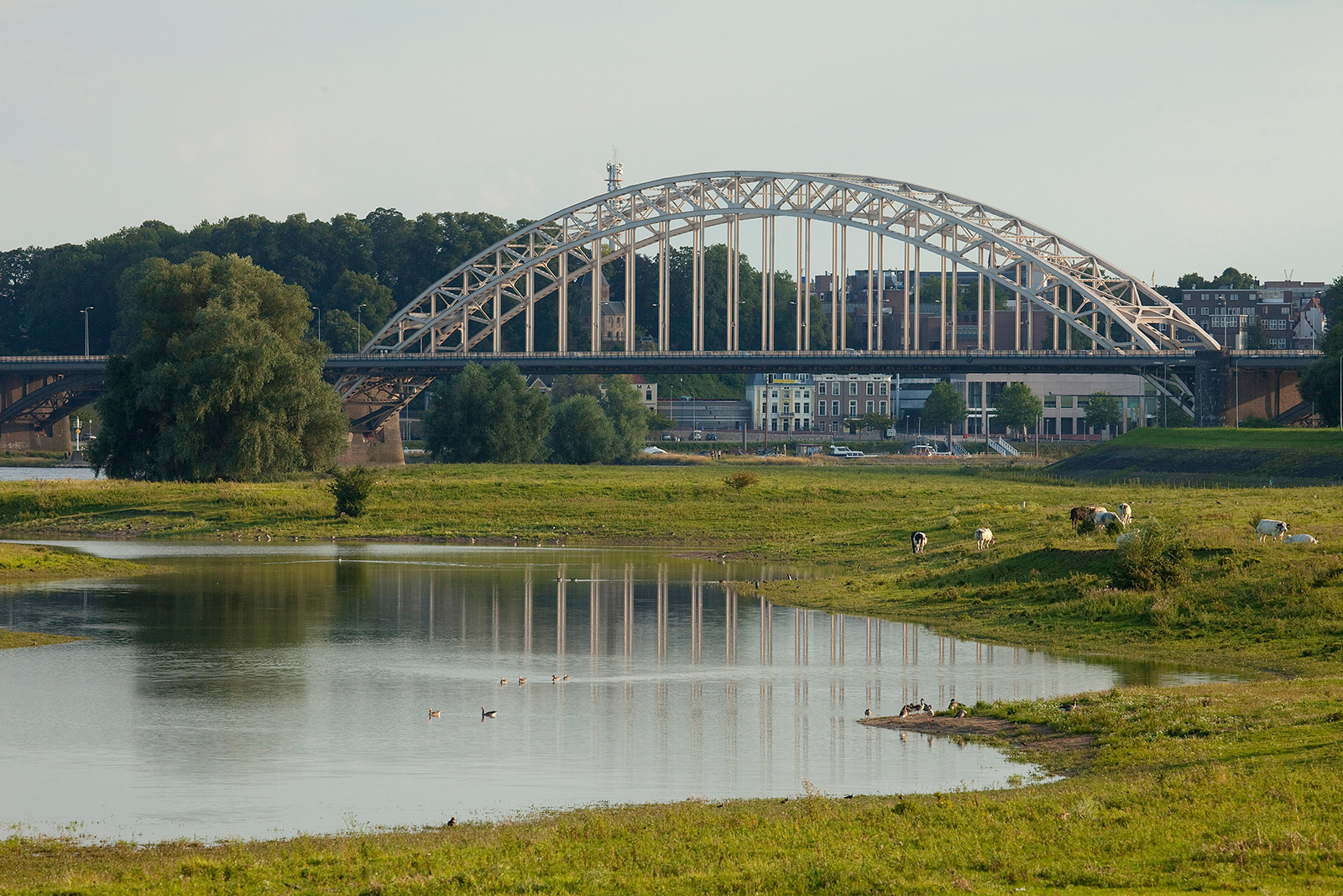 Resilient and adaptive